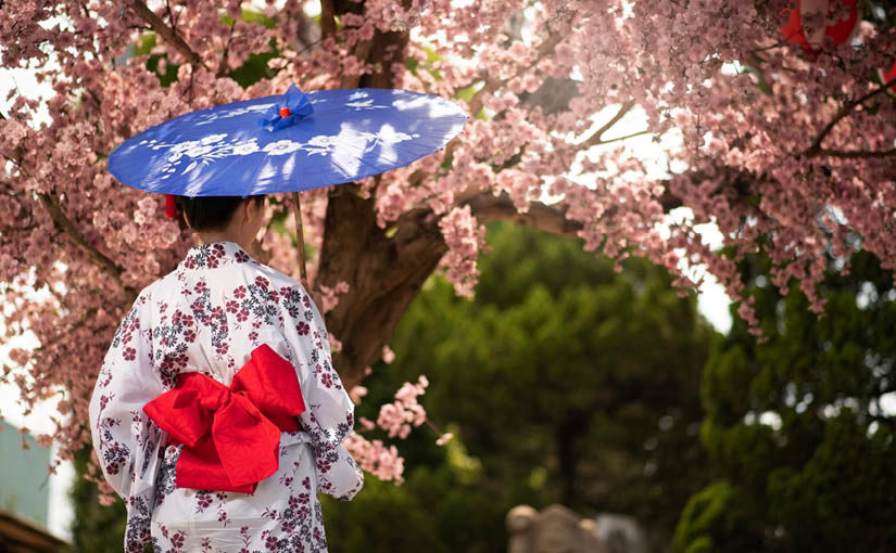 Was sagen andere über Kyoto?