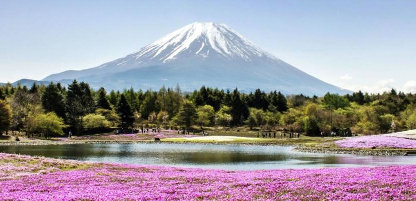 Mt. Fuji